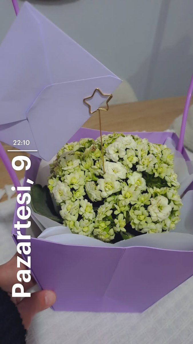 ...

"İnsanın içinde bir parça vardir.…
Zamanla büyüyen ve sen değiştikçe değişen, 
Bazen acı bazen umut 
Ama her zaman sen olan …"✨️
#_heybem 🥀