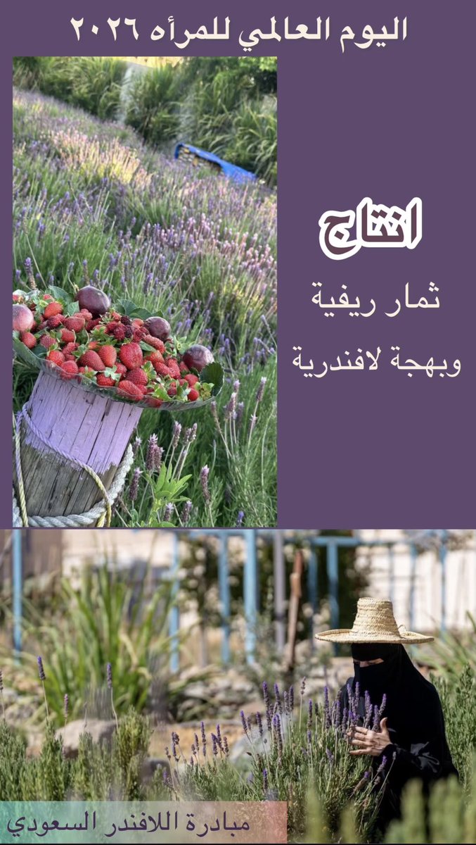 lavend63's tweet photo. من ضمن مستهدفات مبادرة اللافندر السعودي تفعيل دور المجتمع المحلي بالمشاركة في المنتجات الريفية والصناعات التحويلية من اللافندر والباقات

#وزارة_الموارد_البشرية_والتنمية 
#هيئة_تطوير_عسير
#وزارة_البيئة_والمياه_والزراعة 
#منظمة_الفاو 
#اليوم_العالمي_للمراة https://t.co/kuUg1VLyqv