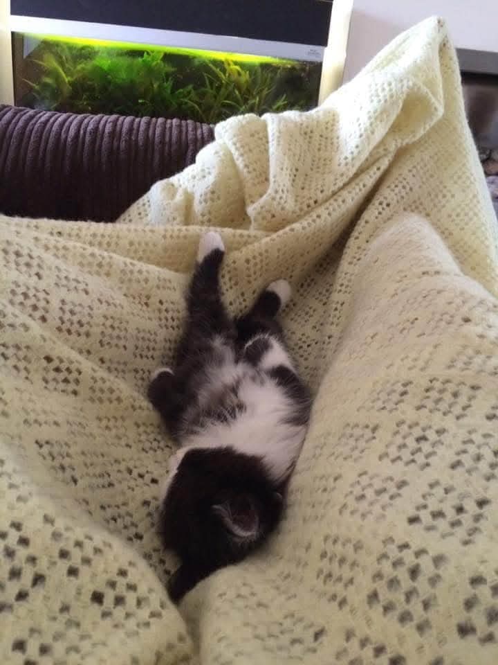 Paul Gads tweet media