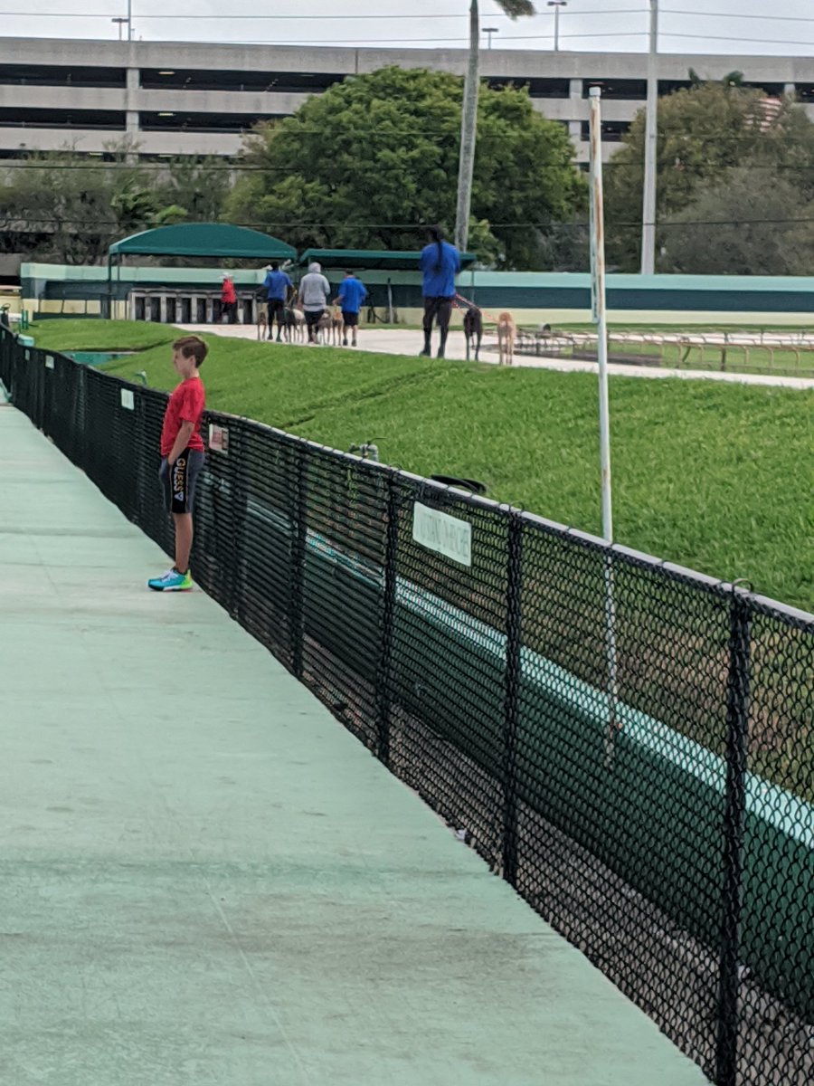Dogmandave12's tweet photo. Palm Beach kennel club https://t.co/ChT9bTP8mQ