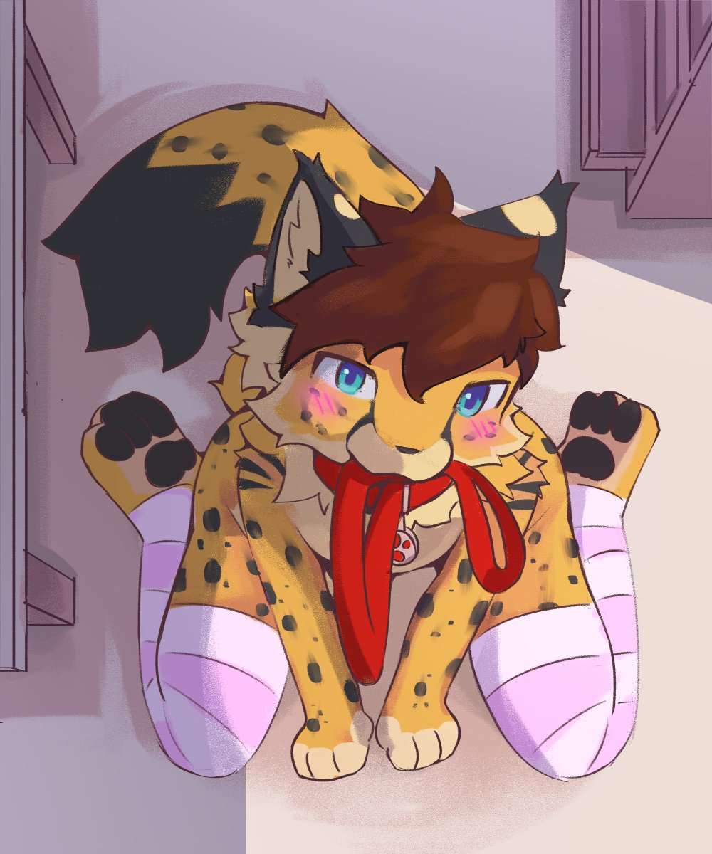 bedroom funsies

cms for cholf!