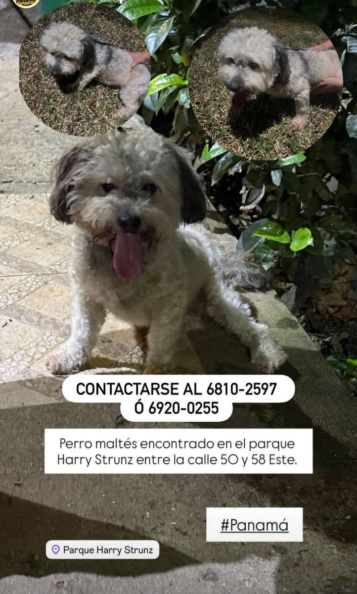 Nacelys González tweet media