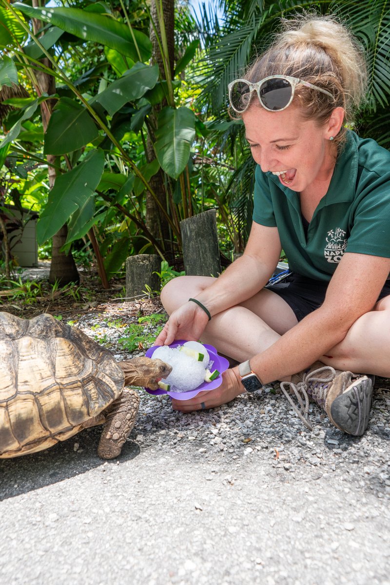 Naples Zoo tweet media
