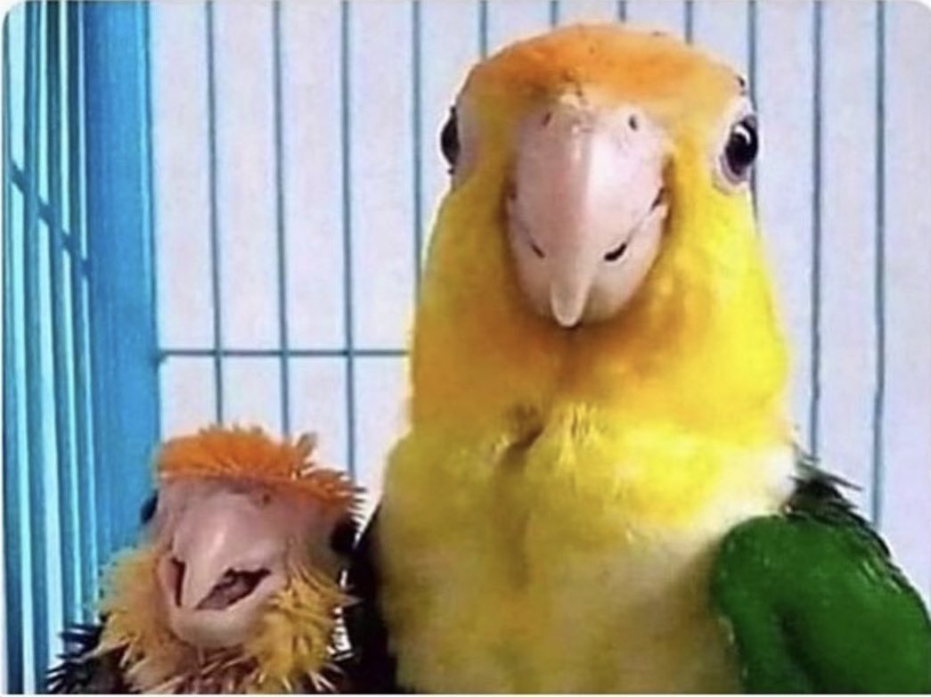 DΞmon 😈 tweet media