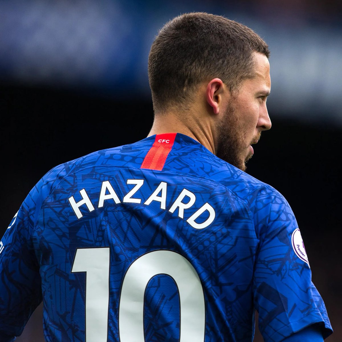 GOAL ZONE tweet media