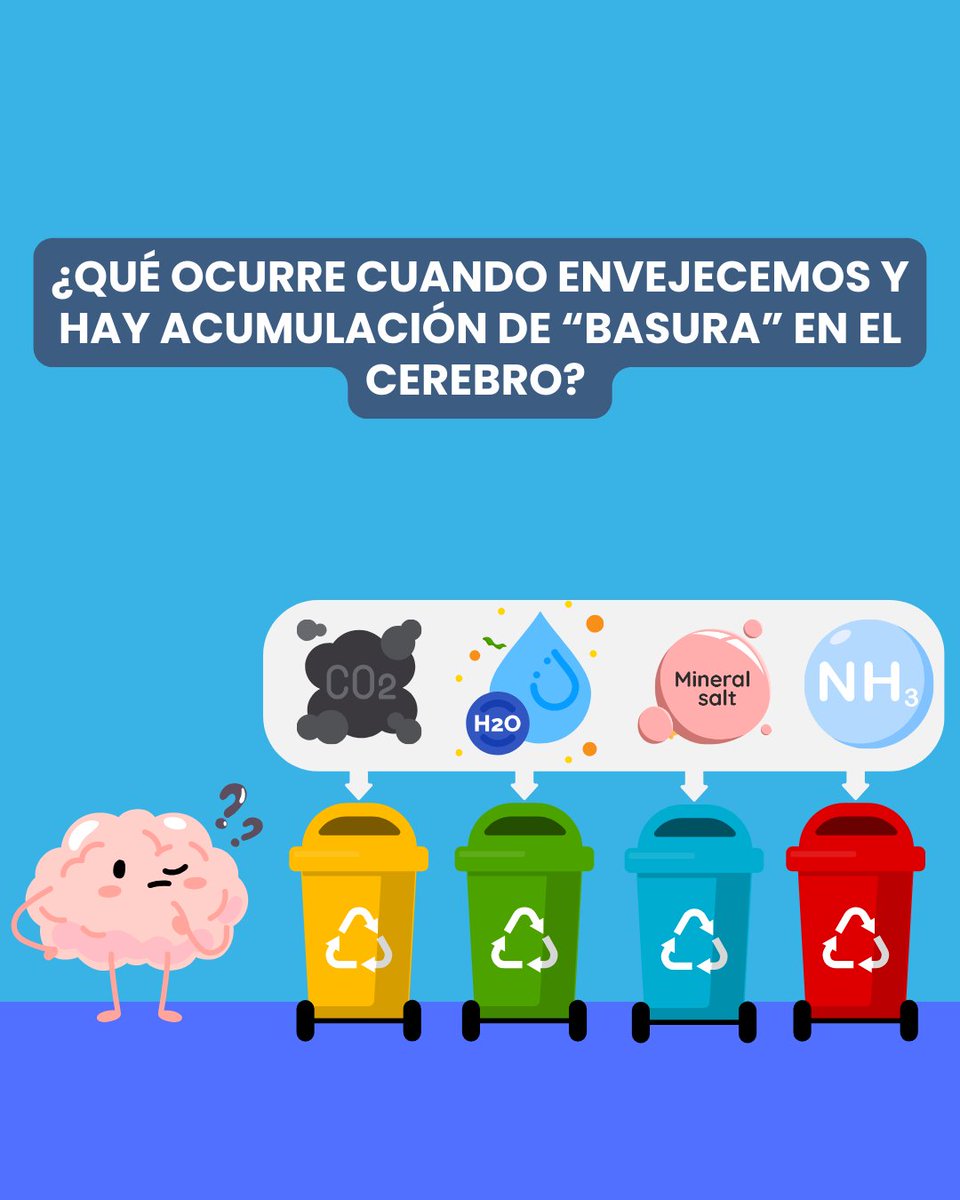 Knowing Neurons tweet media