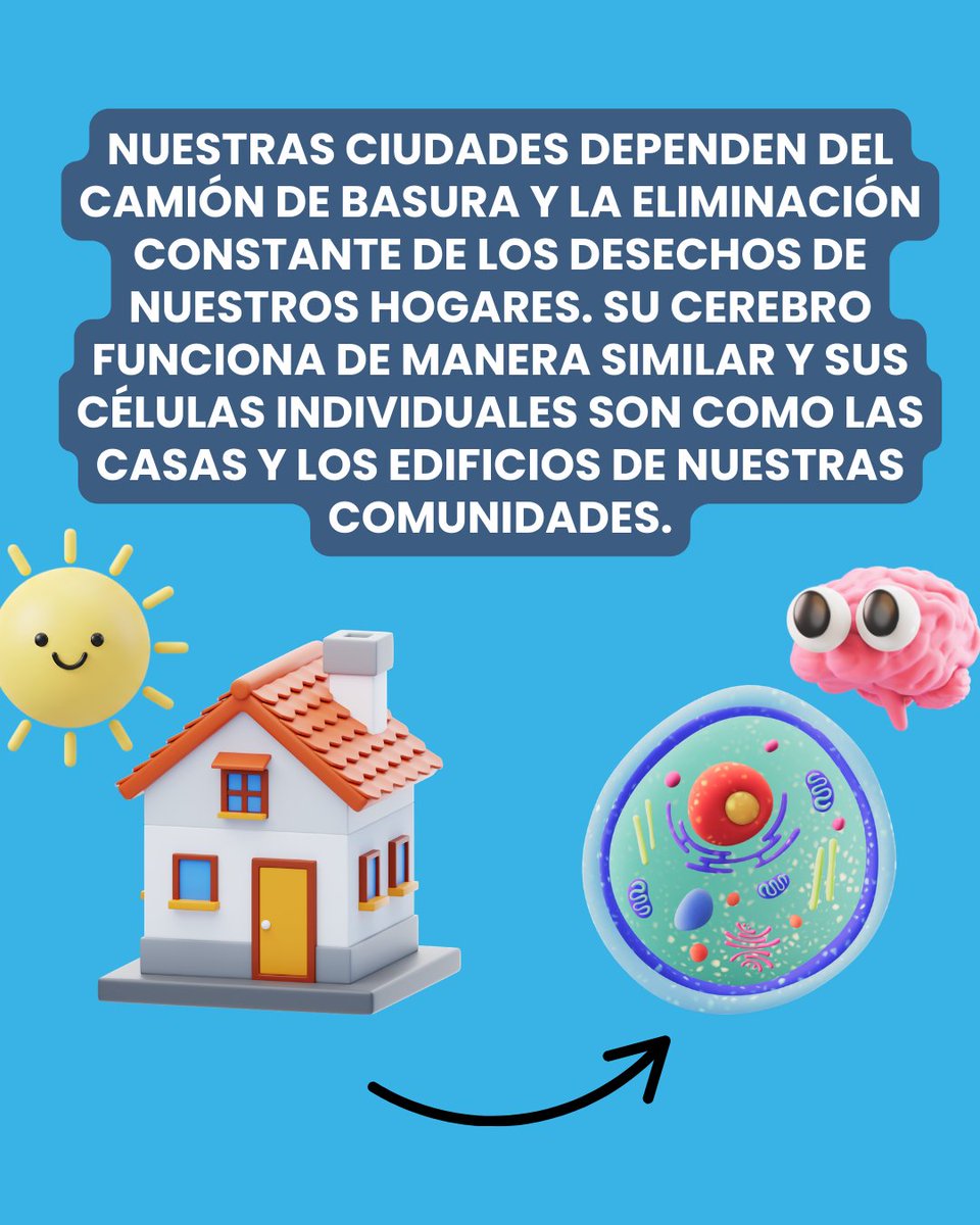 Knowing Neurons tweet media