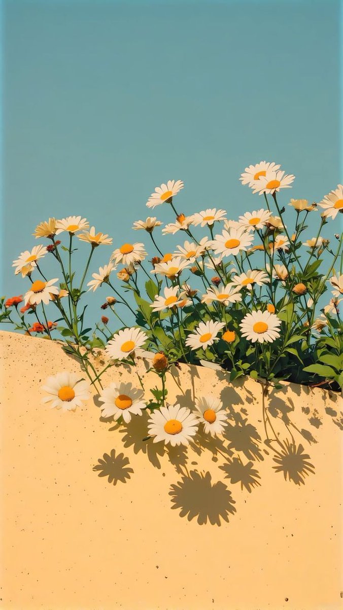 Yeasin Arafat tweet media