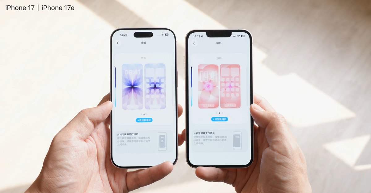 Noah Cat tweet media