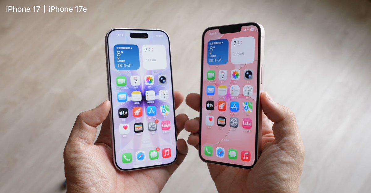 Noah Cat tweet media