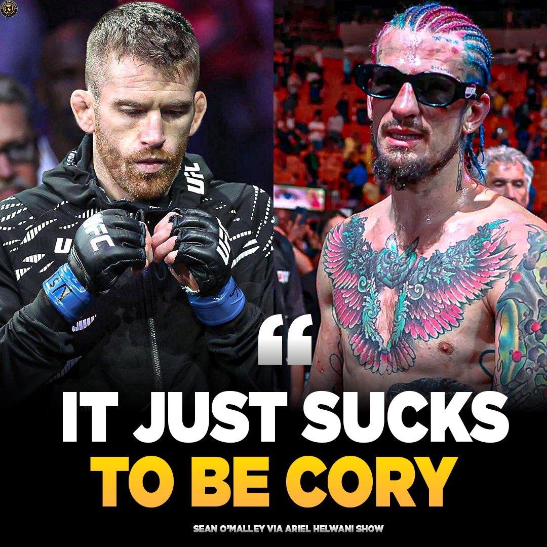 Home of Fight tweet media