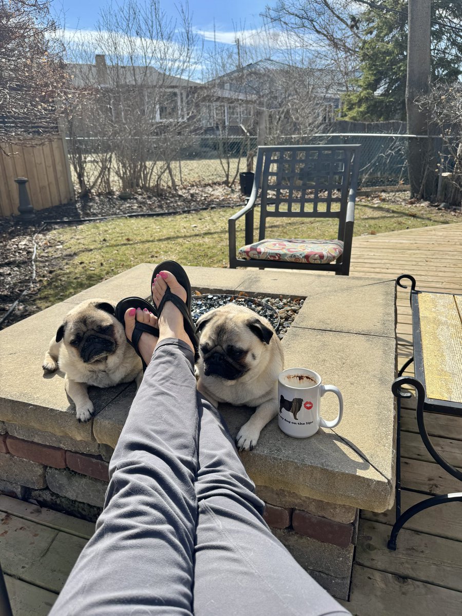 Zombie Pug & Crowley aka Lil C tweet media