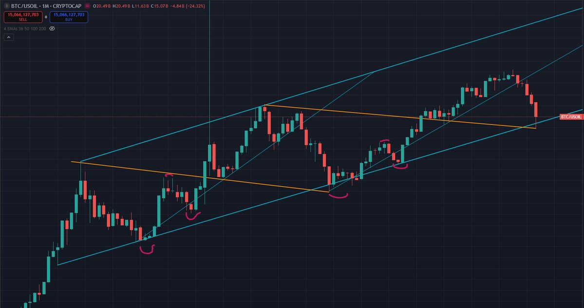 APUpilledGuineaPig tweet media