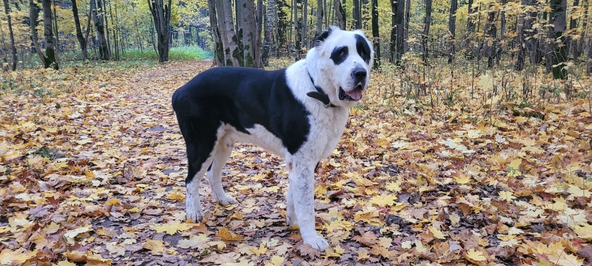 Maria Roscha tweet media