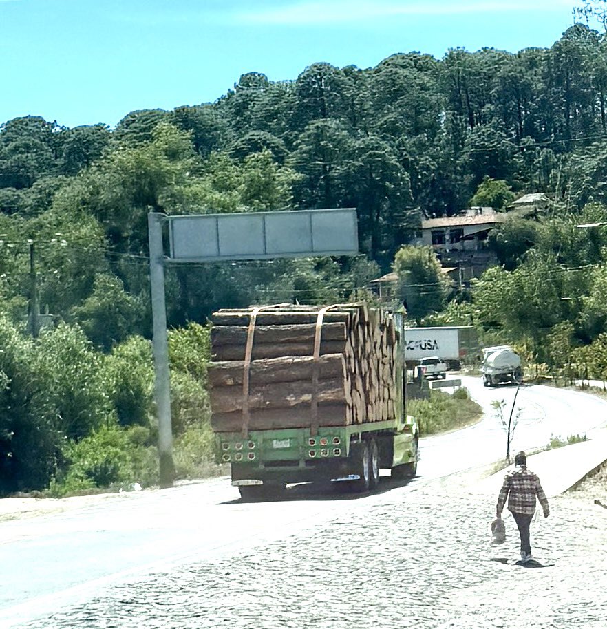 Es urgente que la <a href="/SEMARNAT_mx/">SEMARNAT México</a> obligue a los propietarios de predios forestales bajo aprovechamiento maderable, que participen y/o aporten recursos para el urgente combate a las plagas en la Meseta de Tapalpa…!!!
<a href="/tapalpa_/">Ayuntamiento Tapalpa</a> <a href="/PROFEPA_Mx/">PROFEPA</a> <a href="/CONAFOR/">CONAFOR</a> <a href="/SemadetJal/">SEMADET Jalisco</a>