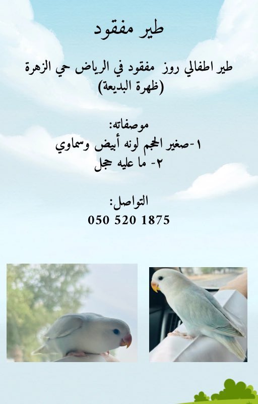 تطبيق مفقود tweet media