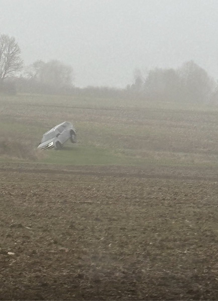 Alex Wilcox tweet media