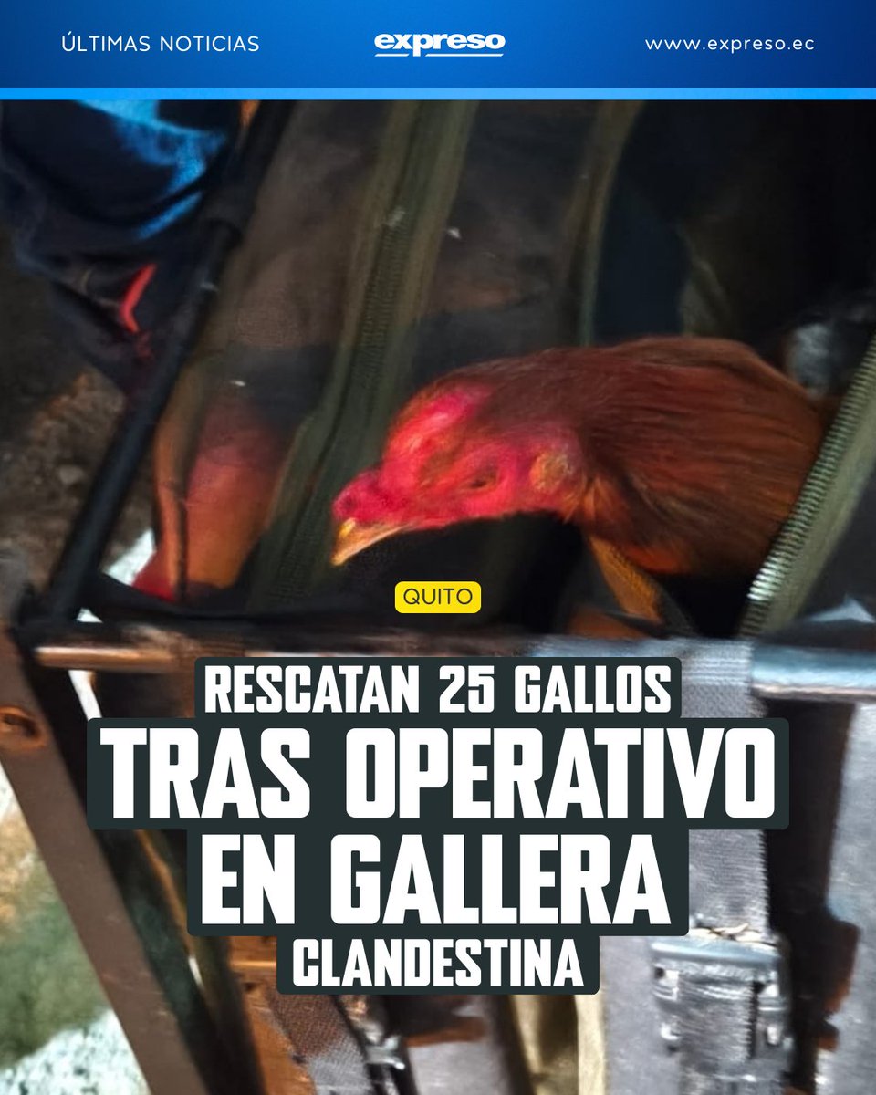 Diario Expreso tweet media