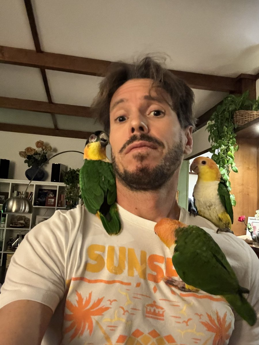 Bertagiu 🐎🦜🐠🏍 tweet media