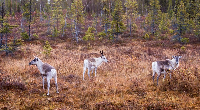 Anthony Tims tweet media