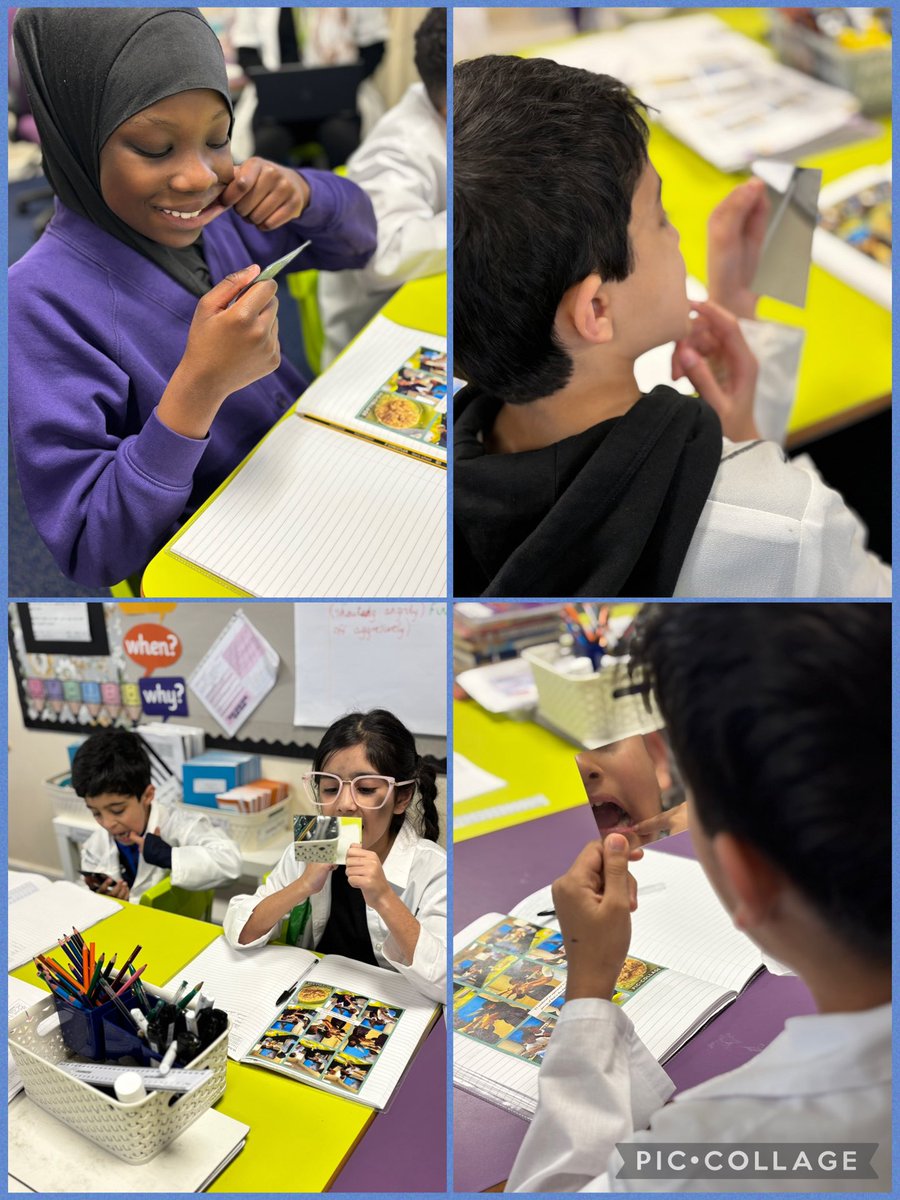 olive_bolton's tweet photo. Year 4 scientists explore their teeth #Teeth #Knowledge #Observations #Science #LoveLearning #Ambition #WeAreStar #Identify #Classify https://t.co/furHT0NPWr