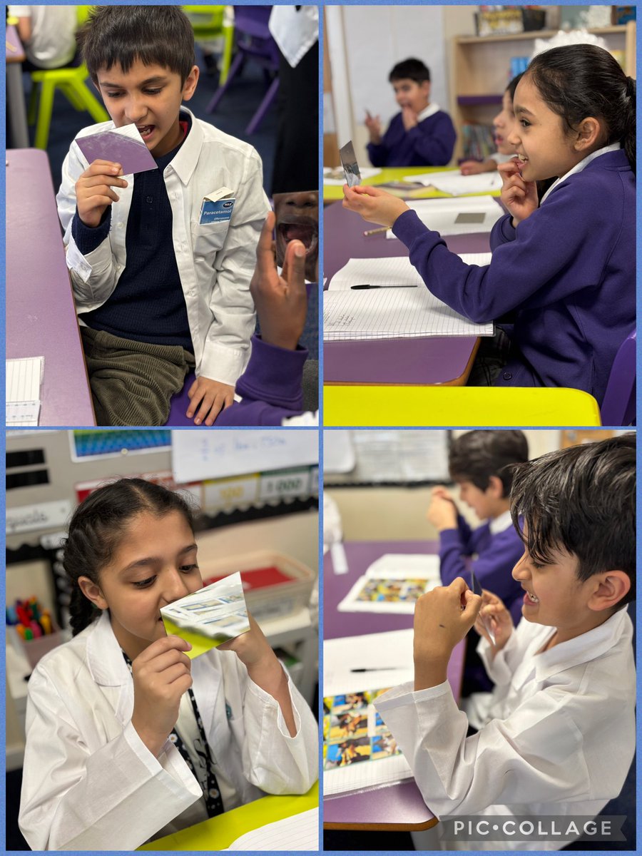 olive_bolton's tweet photo. Year 4 scientists explore their teeth #Teeth #Knowledge #Observations #Science #LoveLearning #Ambition #WeAreStar #Identify #Classify https://t.co/furHT0NPWr