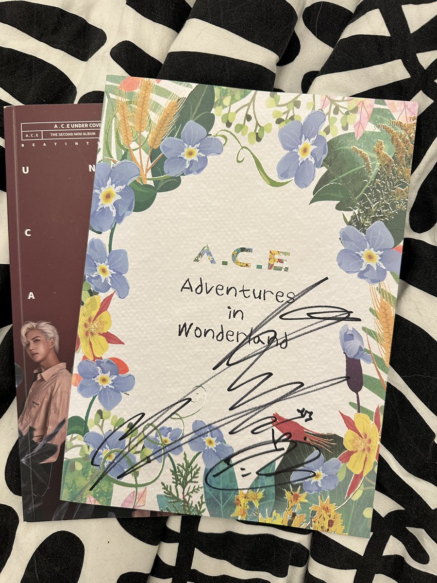 Issy02860230's tweet photo. Can someone actually tell me if this is just a name or a message or what ever bc I just can’t read junhees signing :/

#junhee #parkjunhee #ace #kpop #JUNHEEinBerlin #JUNHEETourinEurope #박준희 https://t.co/abbt8cOdSx
