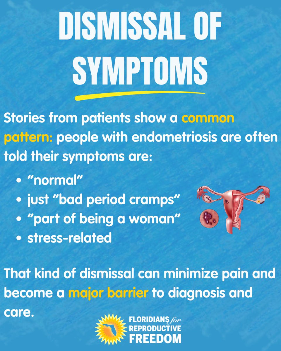 Floridians for Reproductive Freedom tweet media