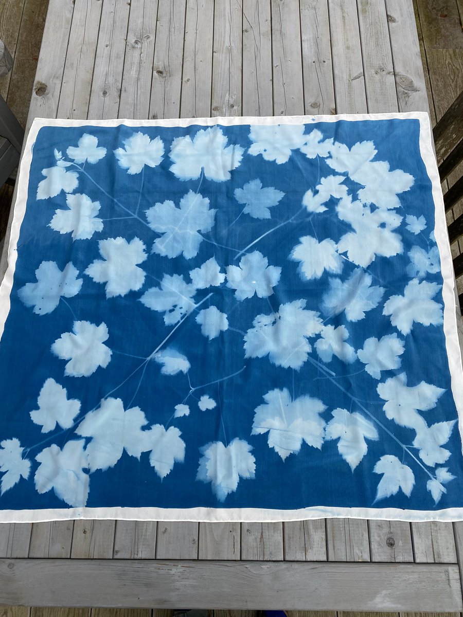 Bridget Arnold tweet media