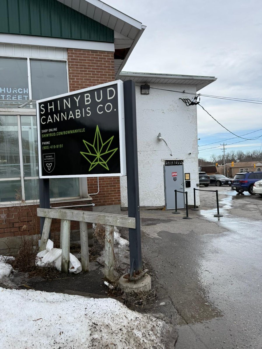 Matt Grad tweet media