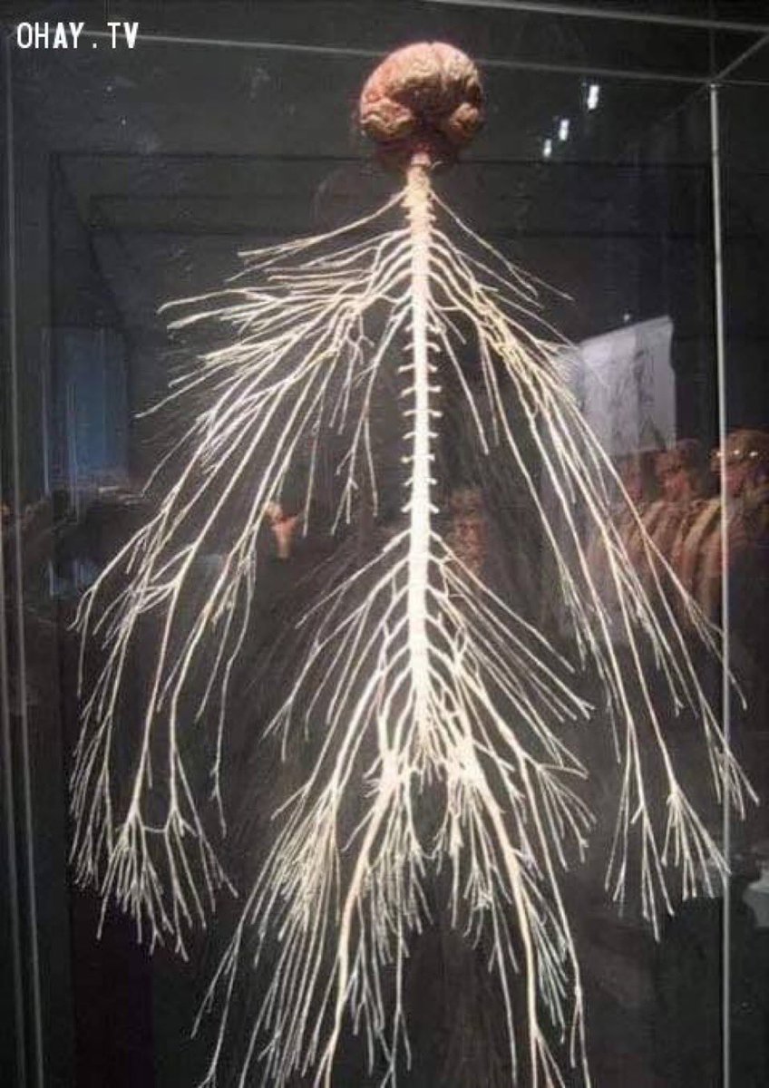 زيد🇮🇶 tweet media