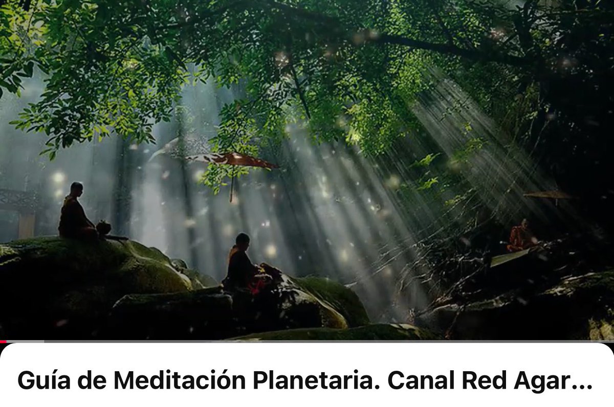 CoachLuisRobert's tweet photo. Les comparto la meditación que escribí en 2020, leída por mi amigo el gran #FernandoSolis y producida por #RobertCarbonell. Una gran ayuda para estos tiempos @NextFmMX @cle_novoa
https://t.co/LbLkcEuPHc https://t.co/0qjL94vute