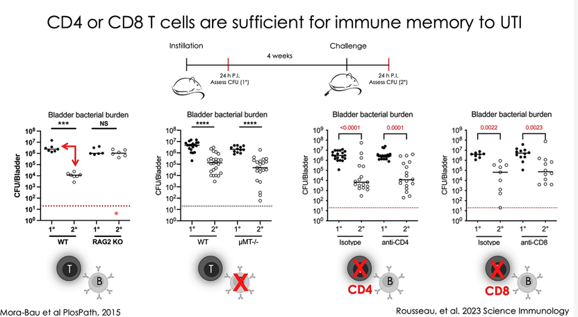 Acquired Resistance to Therapy Network (ARTNet) tweet media