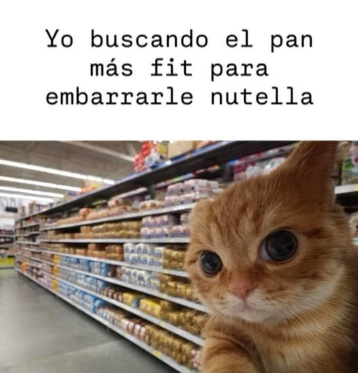 TuzitaMemeX (@tuzitaxtuitera) on Twitter photo 