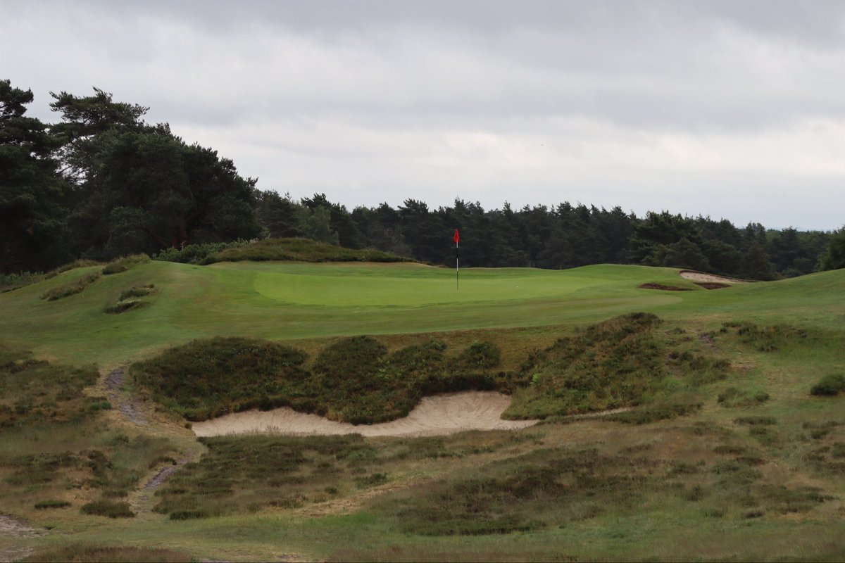 Andrew Harvie tweet media