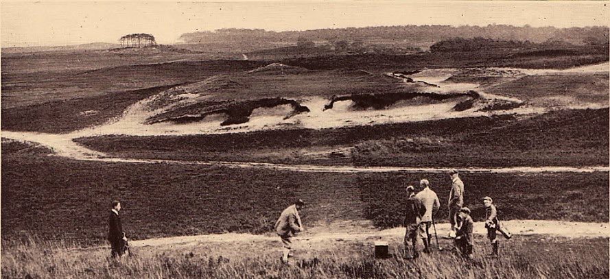 Andrew Harvie tweet media