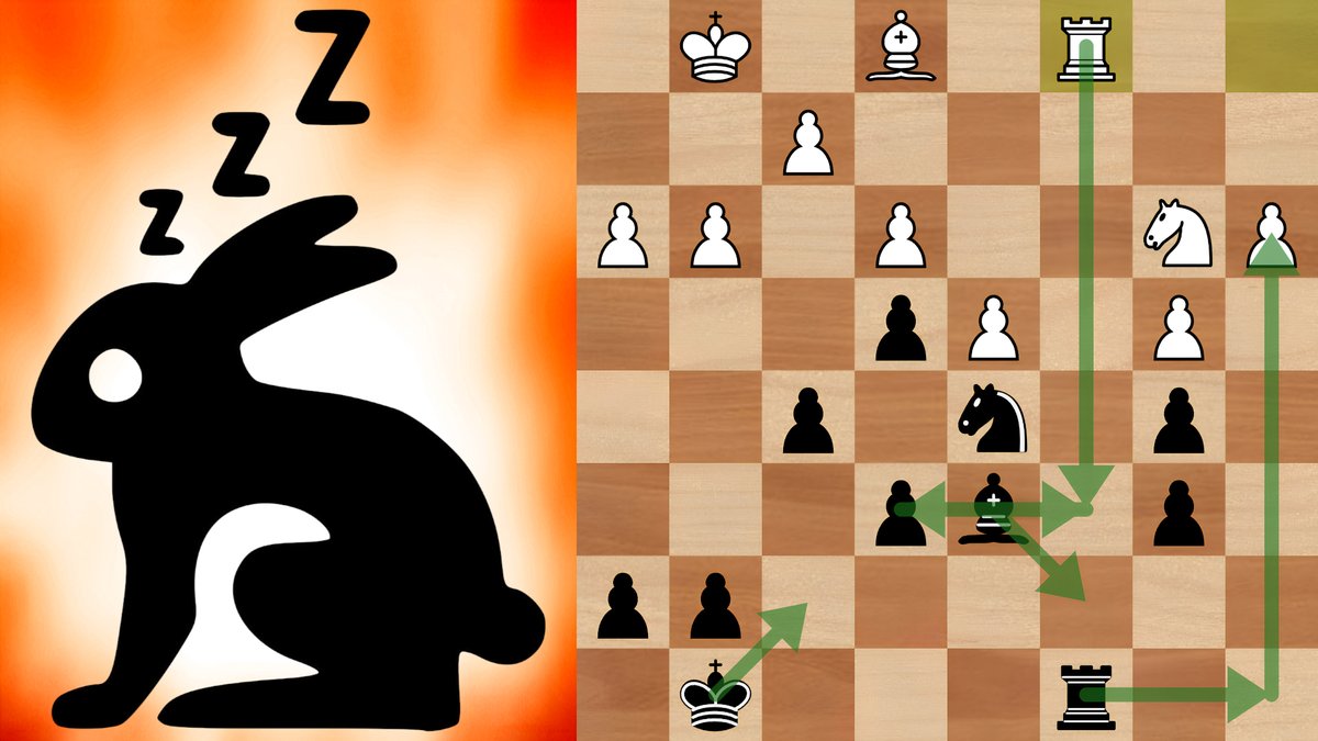 ChessNetwork tweet media