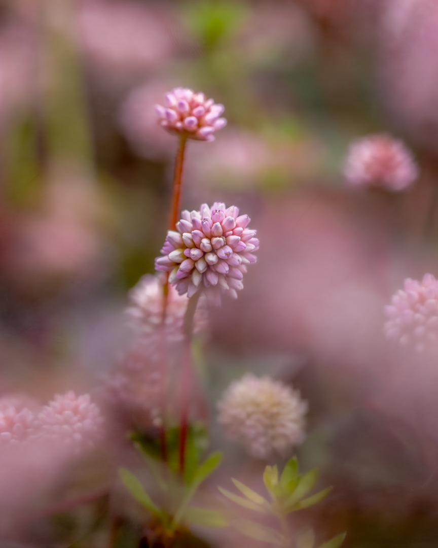 Tina Quillen Photography tweet media