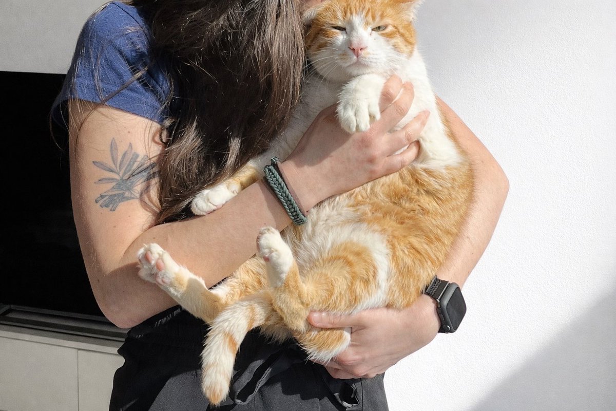 badthingsxhealy's tweet photo. mes deux petits bg
(vive les chats) https://t.co/XdpINZT3TE