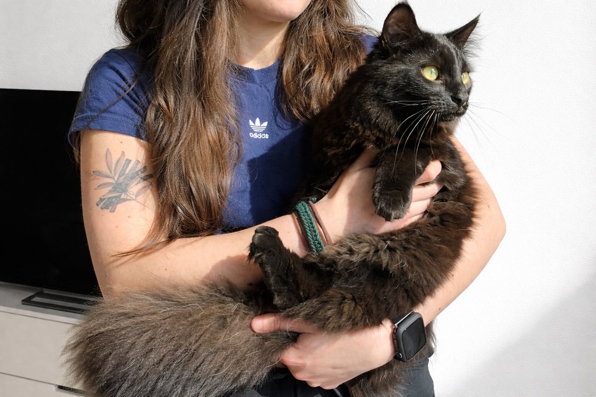 badthingsxhealy's tweet photo. mes deux petits bg
(vive les chats) https://t.co/XdpINZT3TE