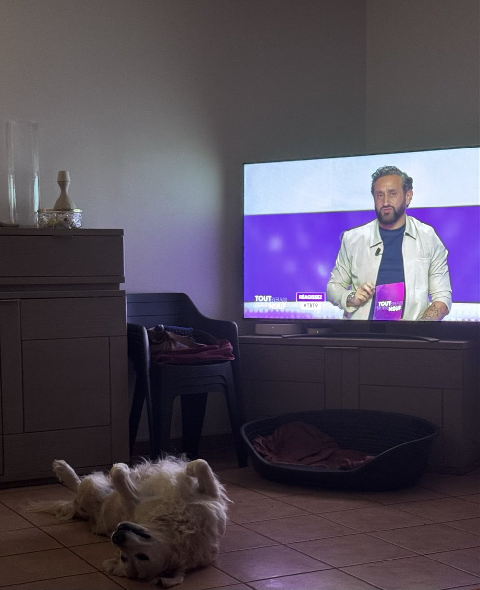 Foddis_mlanie's tweet photo. Nala t’écoute @Cyrilhanouna #tbt9 https://t.co/3ryfD8QLg3