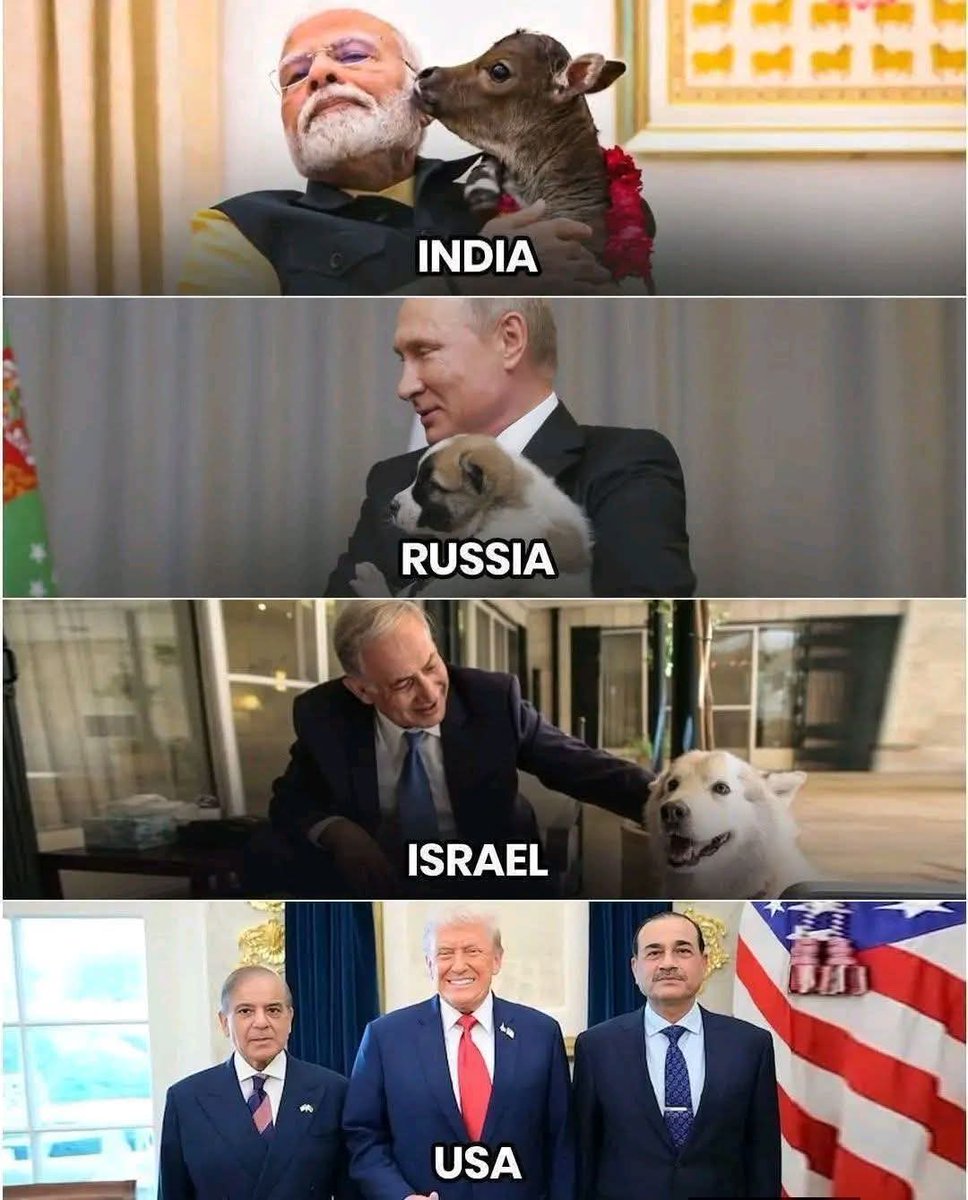 sHaidarHashmi's tweet photo. India 🇮🇳 Russia 🇷🇺  USA 🇺🇸 🐕 https://t.co/baklrRJwry