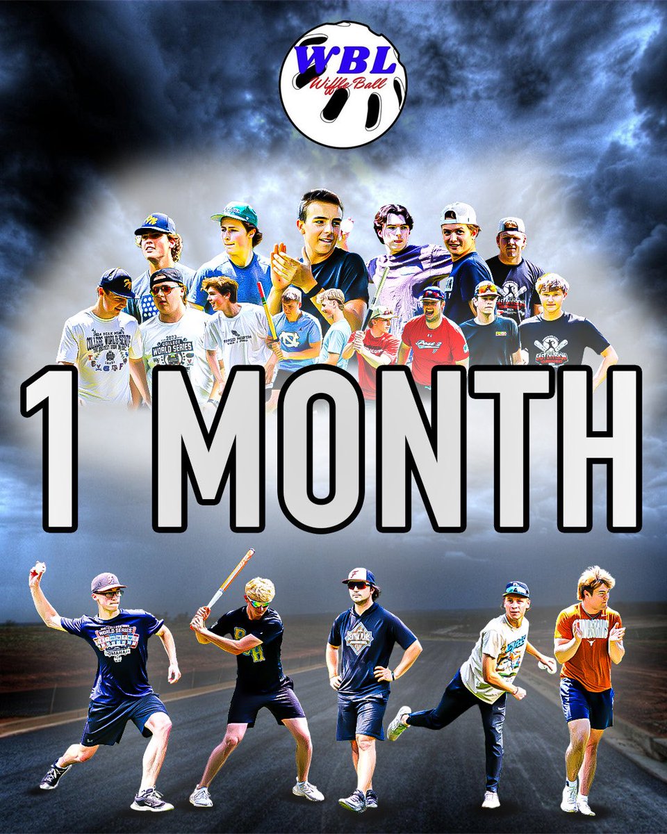 WBL Wiffle Ball tweet media