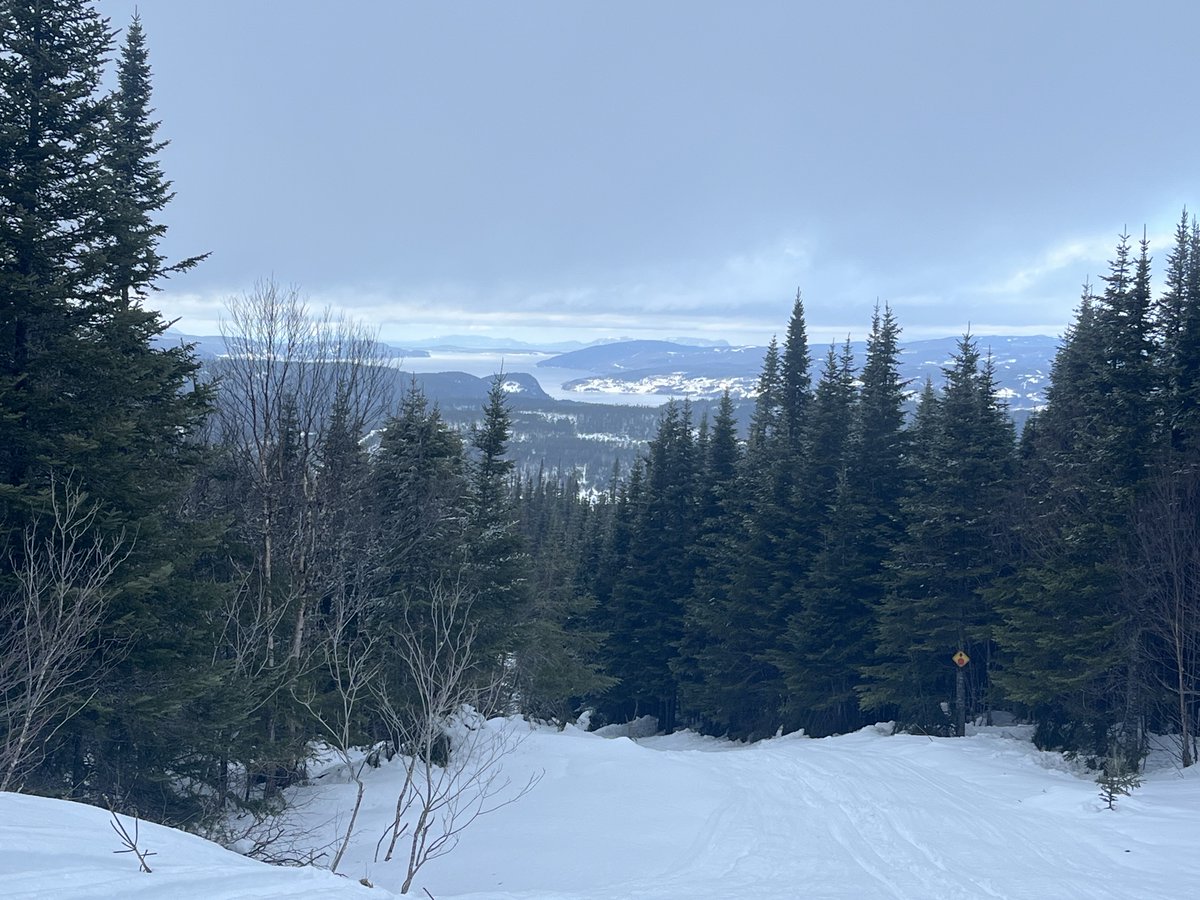 jim saul 🇨🇦🌽🐓 tweet media