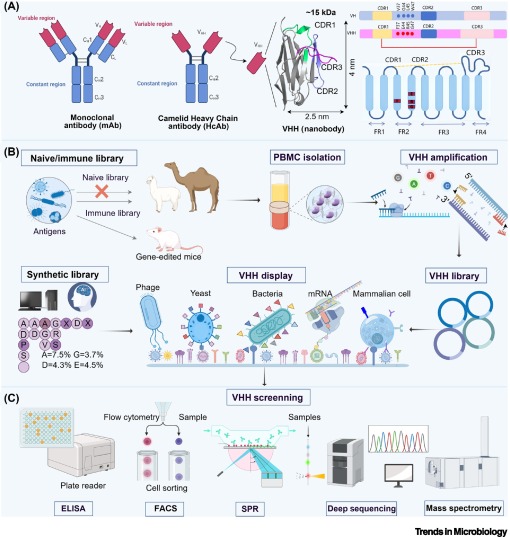 Trends in Microbiology tweet media