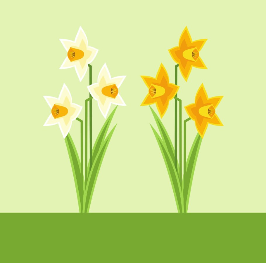 Oide Schools' Support Service, Ireland tweet media