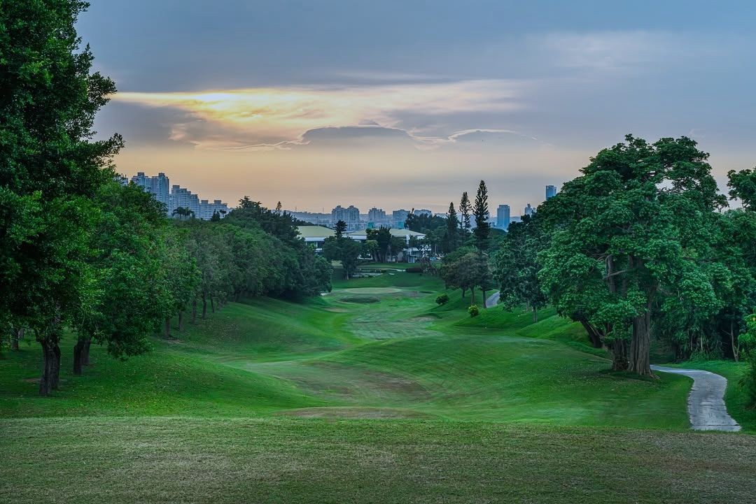 Please Don’t Irk Me tweet media