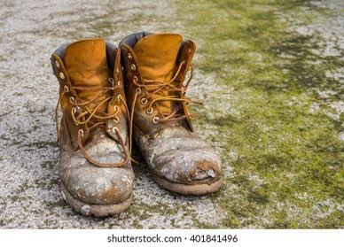 ABZXX ‎ᯓ★ tweet media