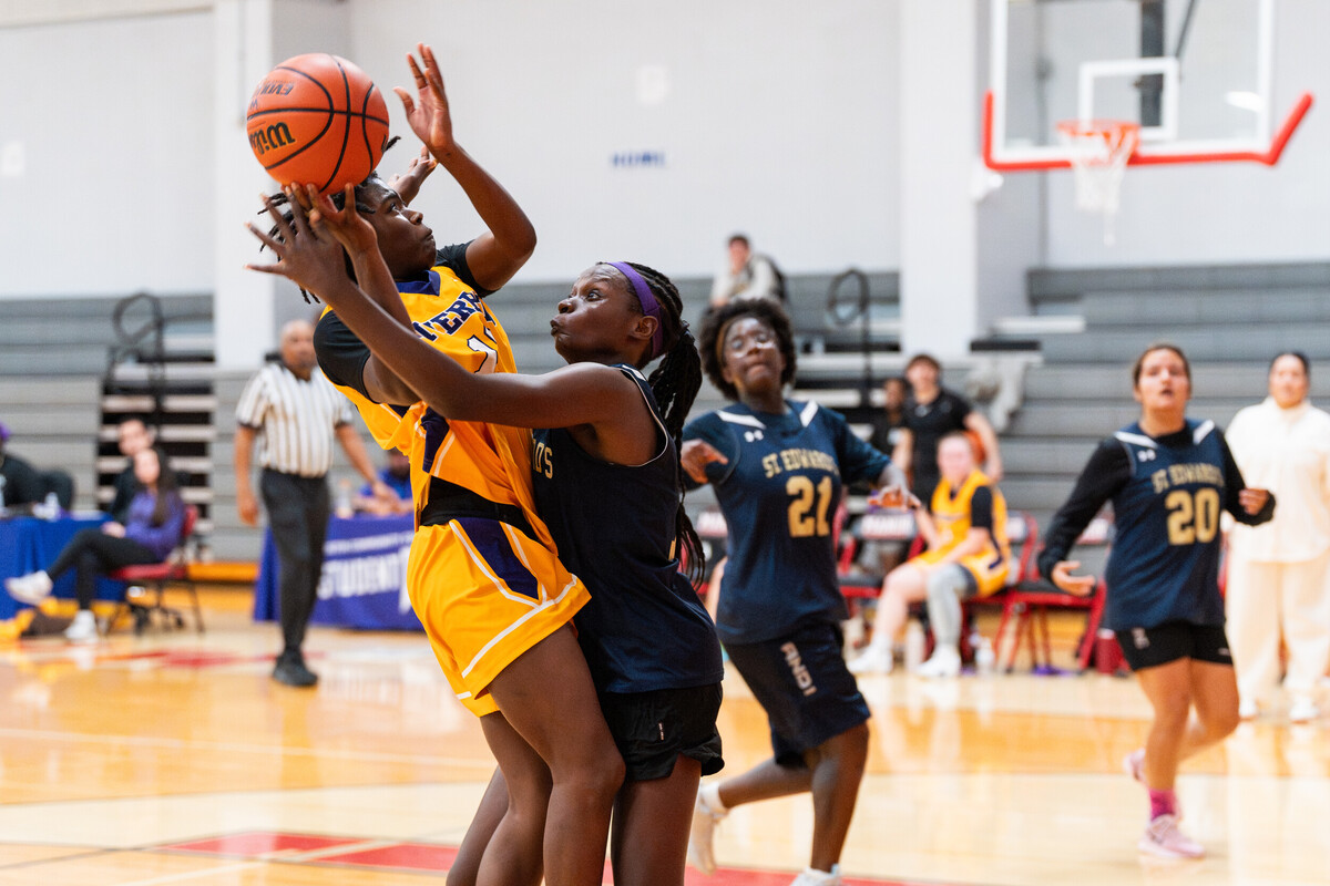 ACC District 🦇 tweet media