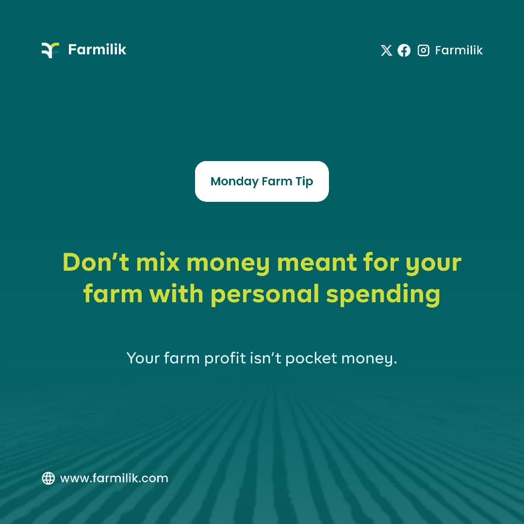 Farmilik tweet media